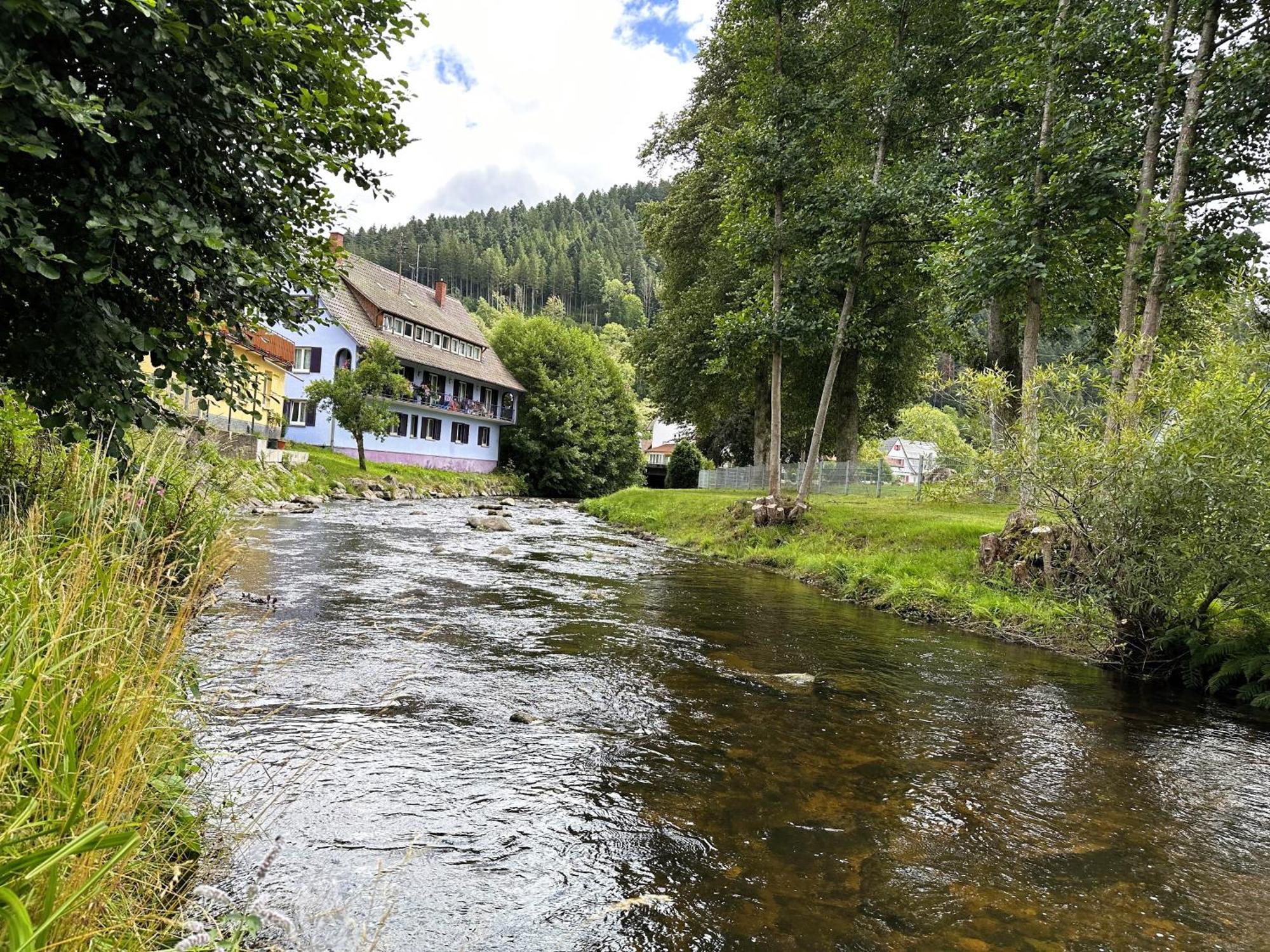 Ferienwohnung Kinzig-Chalet - Balkon - Fuer Kinder - Mit Bettwaesche & Handtuecher Schenkenzell Eksteriør bilde